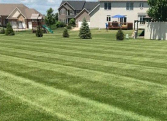 Lawn mowing service in Davenport Iowa