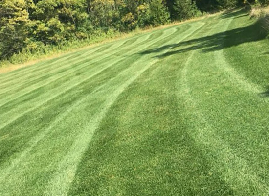 Residential lawn care in Bettendorf Iowa